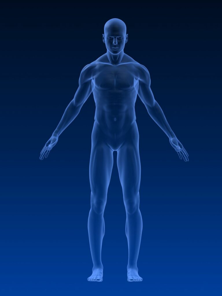 Prochaines formations en massage et magnétisme.